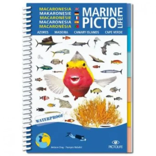 DiveXS Marine Pictolife: Makaronesie